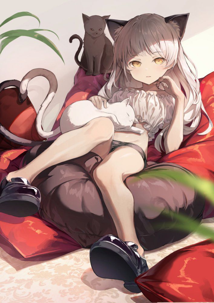 【Secondary】Silver-haired and white-haired girl image Part 30 37