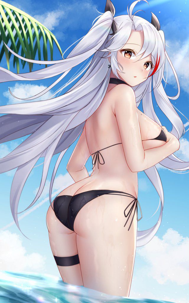 【Secondary】Silver-haired and white-haired girl image Part 30 4