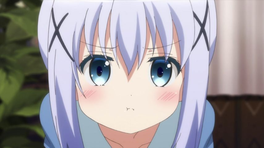 Your order is a rabbit? Story 7 comments. Chino's gigantic offended! Finally the Sharo-Chan House irritation! 106