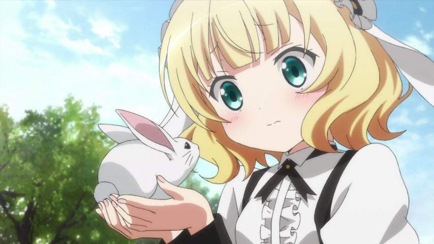 Your order is a rabbit? Story 7 comments. Chino's gigantic offended! Finally the Sharo-Chan House irritation! 196