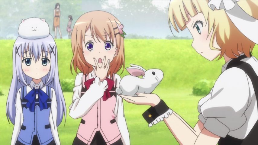 Your order is a rabbit? Story 7 comments. Chino's gigantic offended! Finally the Sharo-Chan House irritation! 197