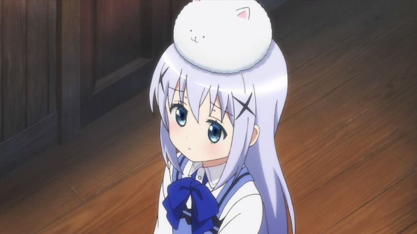 Your order is a rabbit? Story 7 comments. Chino's gigantic offended! Finally the Sharo-Chan House irritation! 25