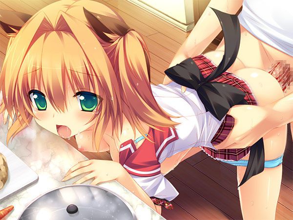 Back & back up gun butt! Eroge two-dimensional erotic pictures 3rd 30 pieces! 29