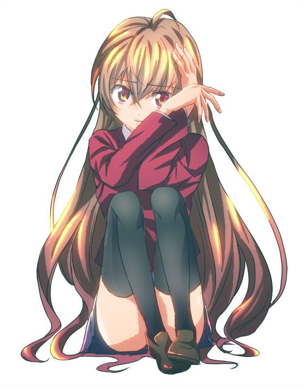 Toradora! Of the 50 illustrations 20