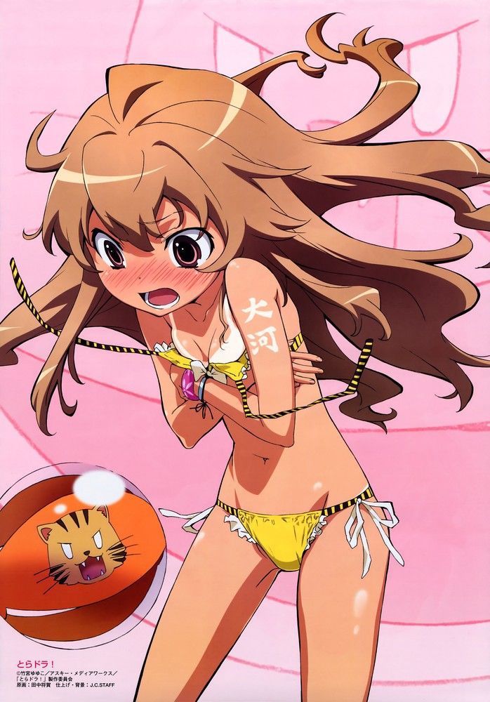 Toradora! Of the 50 illustrations 41