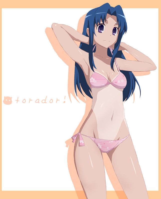 Toradora! Of the 50 illustrations 48