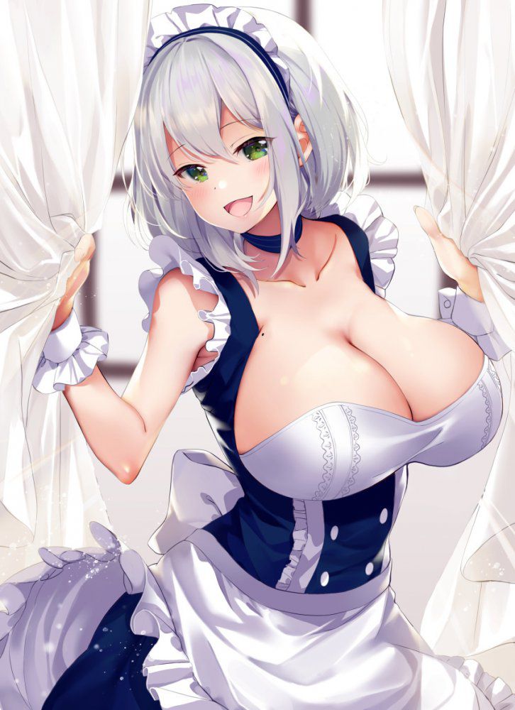 I collected erotic images of maids 12