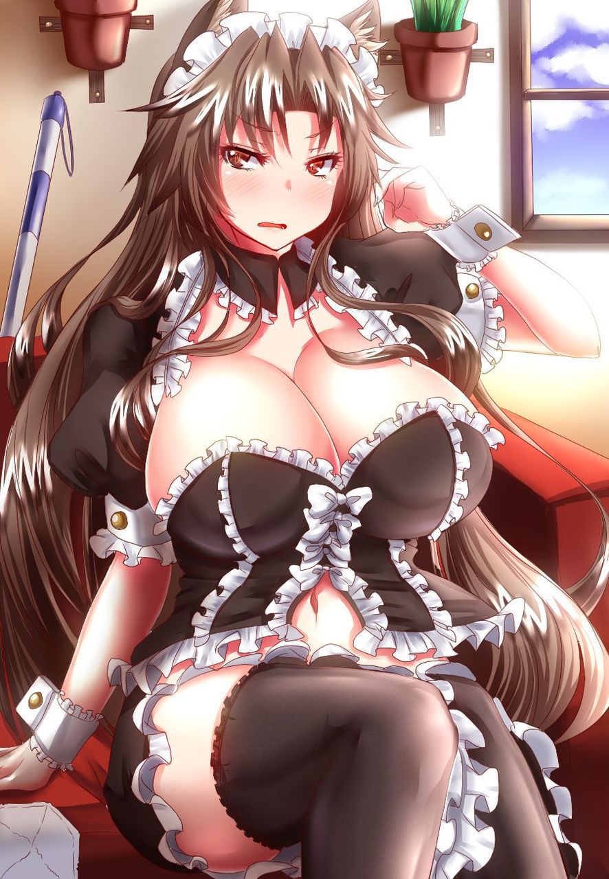 I collected erotic images of maids 14