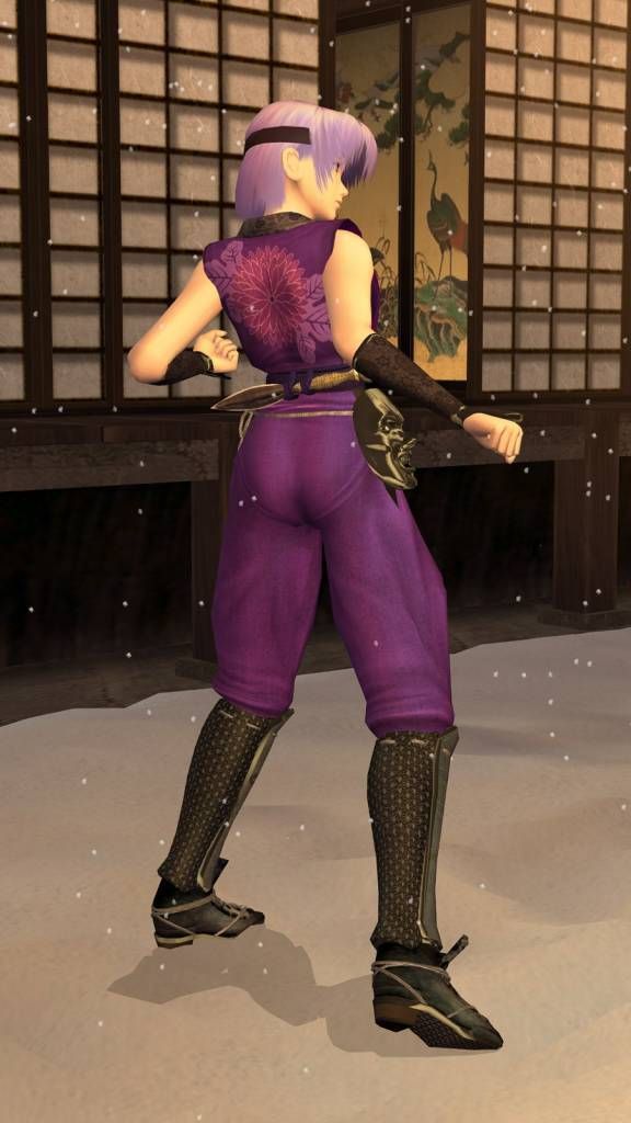 Dead or alive live series ayane's picture 41