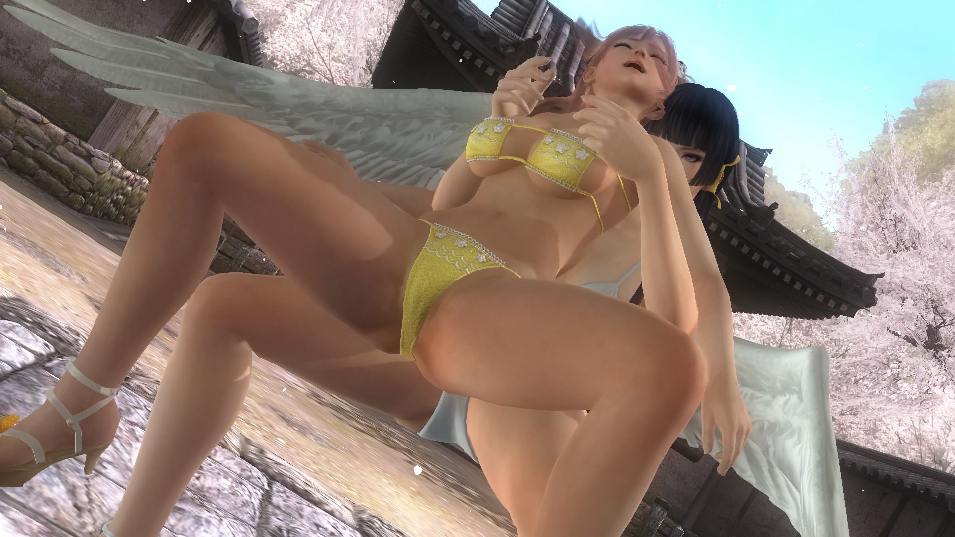 Dim DOA5LR (soft or sexy COS) to ryona at Lotus early summer rain 15