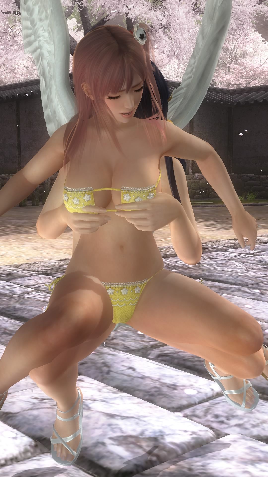 Dim DOA5LR (soft or sexy COS) to ryona at Lotus early summer rain 9