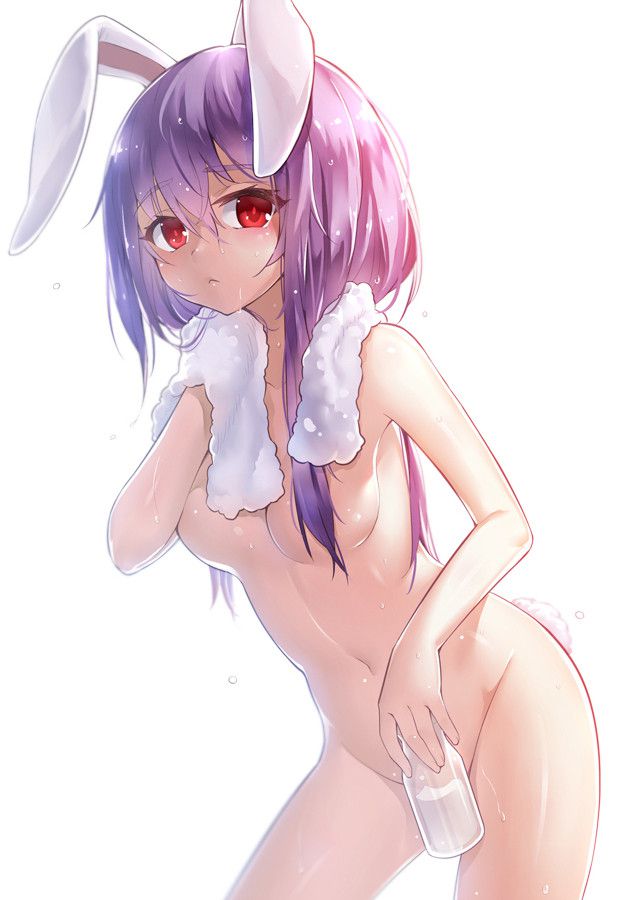 [Secondary erotic] [East] want to see naughty picture of Reisen udongein and Inova! 3 13