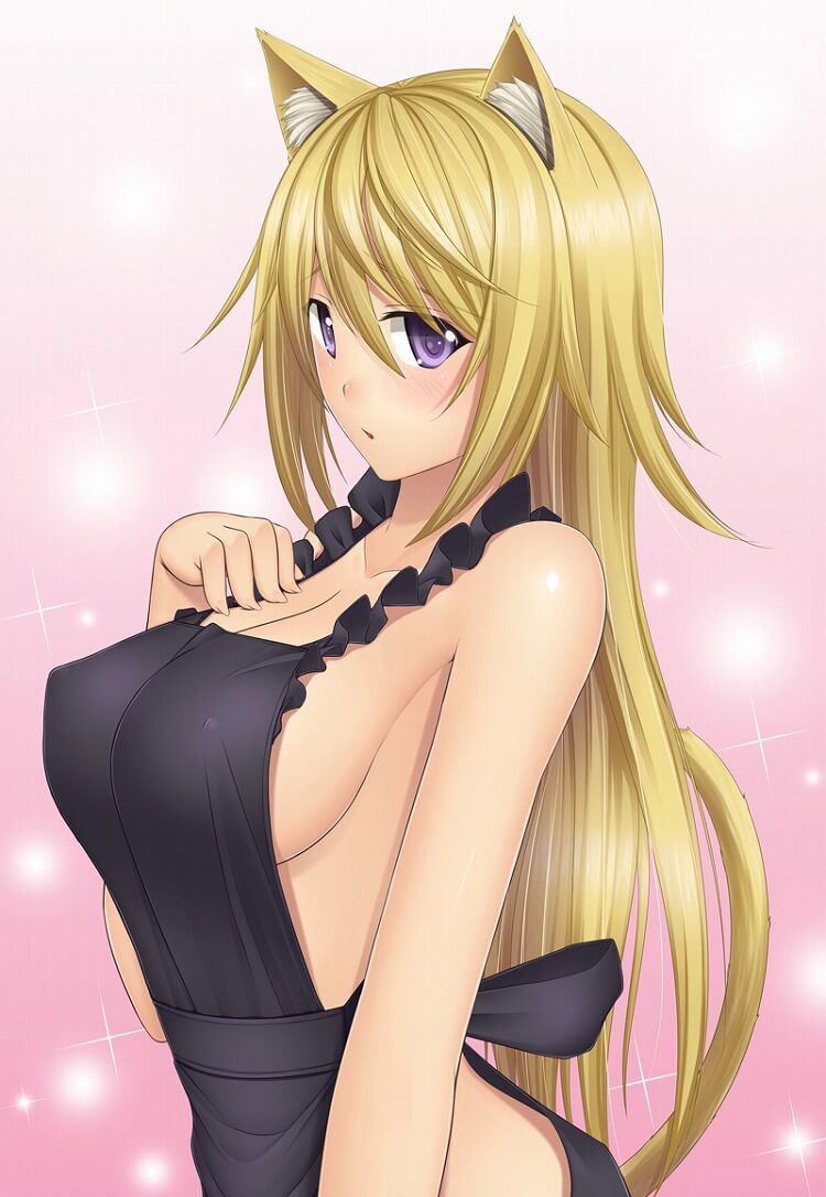 "Infinite Stratos' Charles breasts I dew in erotic images w 12