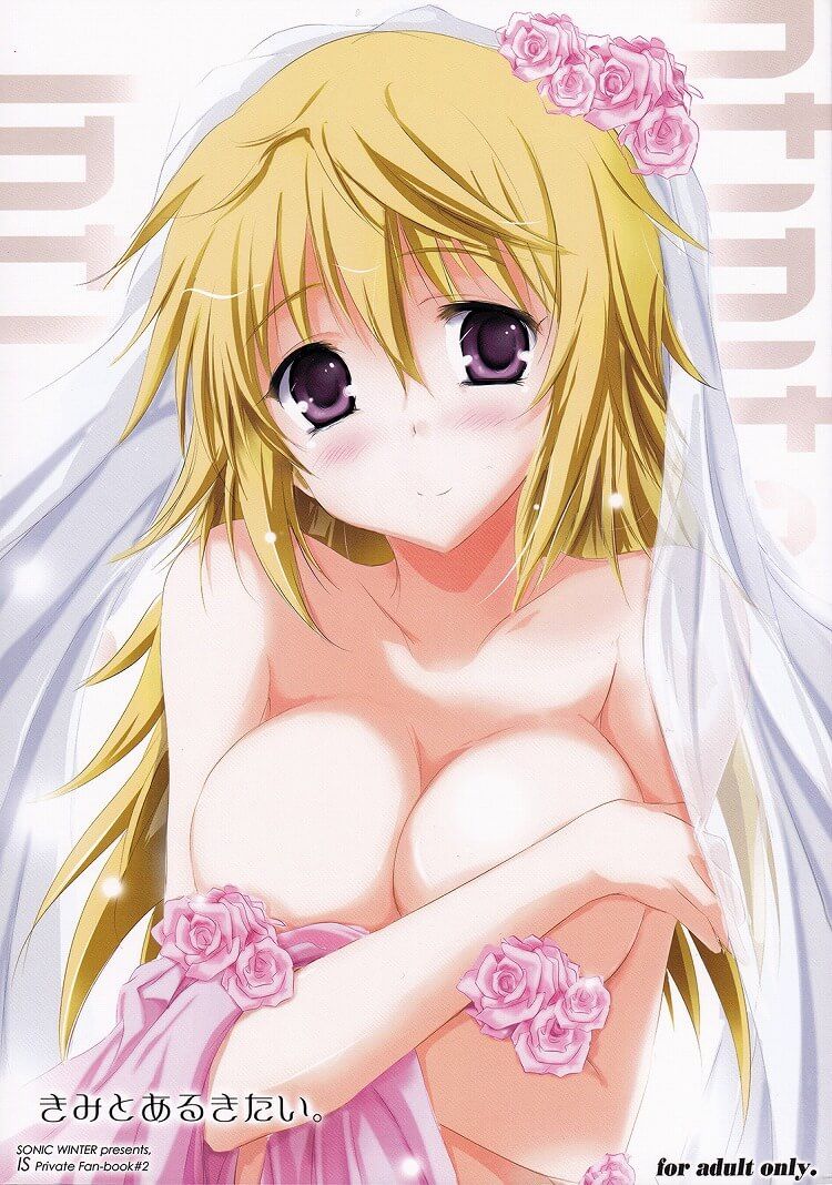"Infinite Stratos' Charles breasts I dew in erotic images w 17