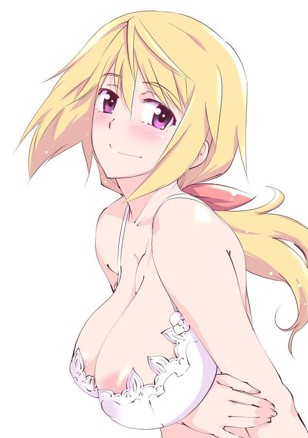 "Infinite Stratos' Charles breasts I dew in erotic images w 7