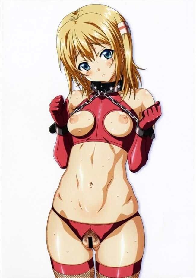 【Erotic Anime Summary】 Erotic Beauty and Beautiful Girls Exposing Their in Clothes [40 Photos] 17