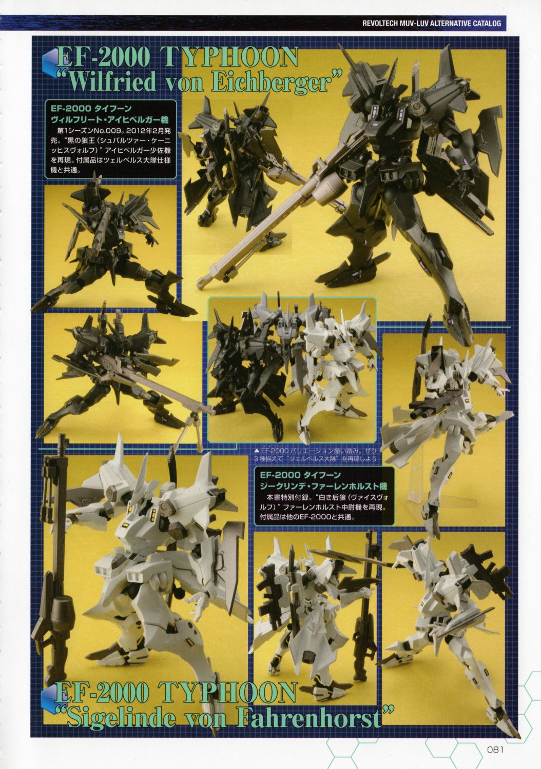 Hobby Japan MUV-LUV ALTERNATIVE IN EURO FRONT; DUTY -LOST ARCADIA- ホビージャパン マブラヴオルタネイティブインユーロフロント DUTY-LOST ARCADIA- 80