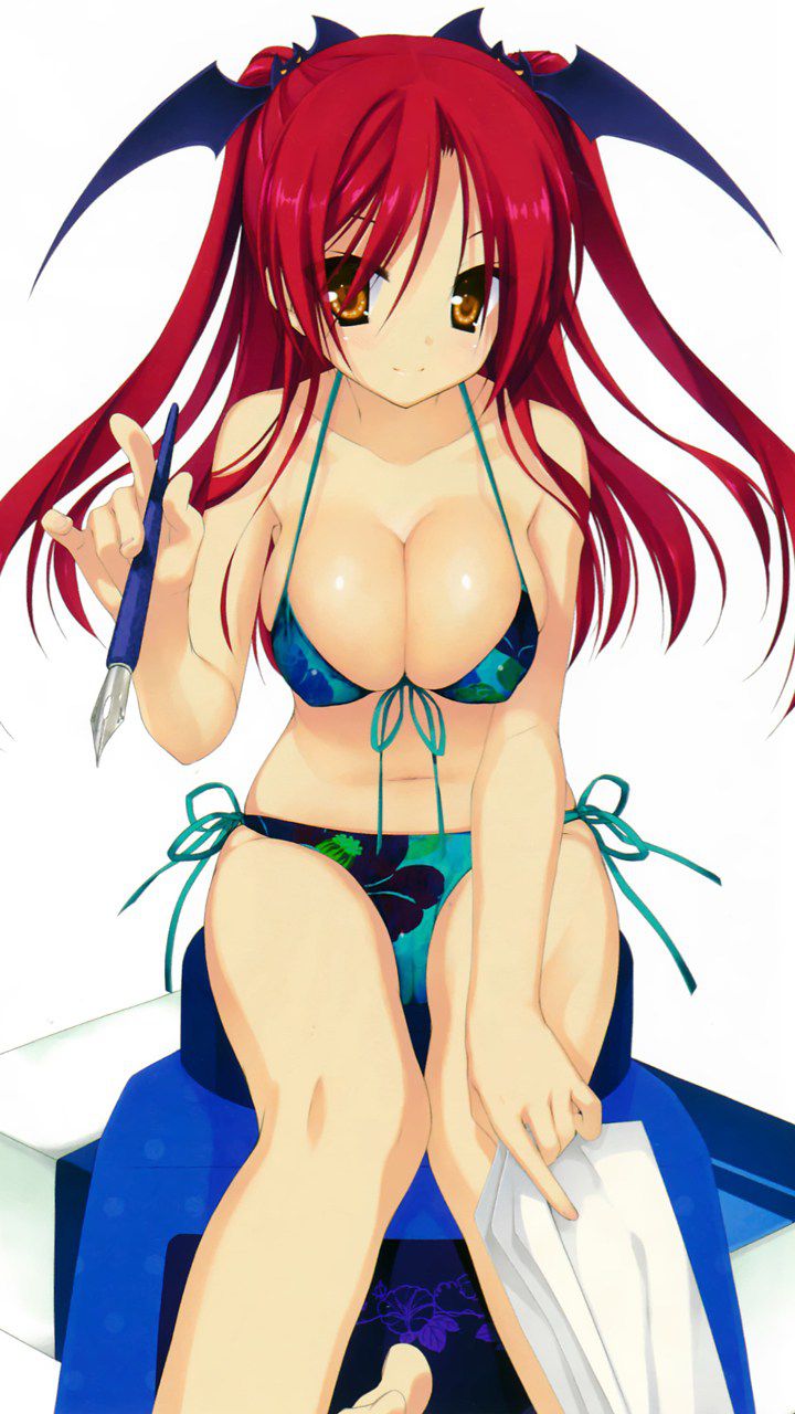 Will continue summer swimsuit pictures 28