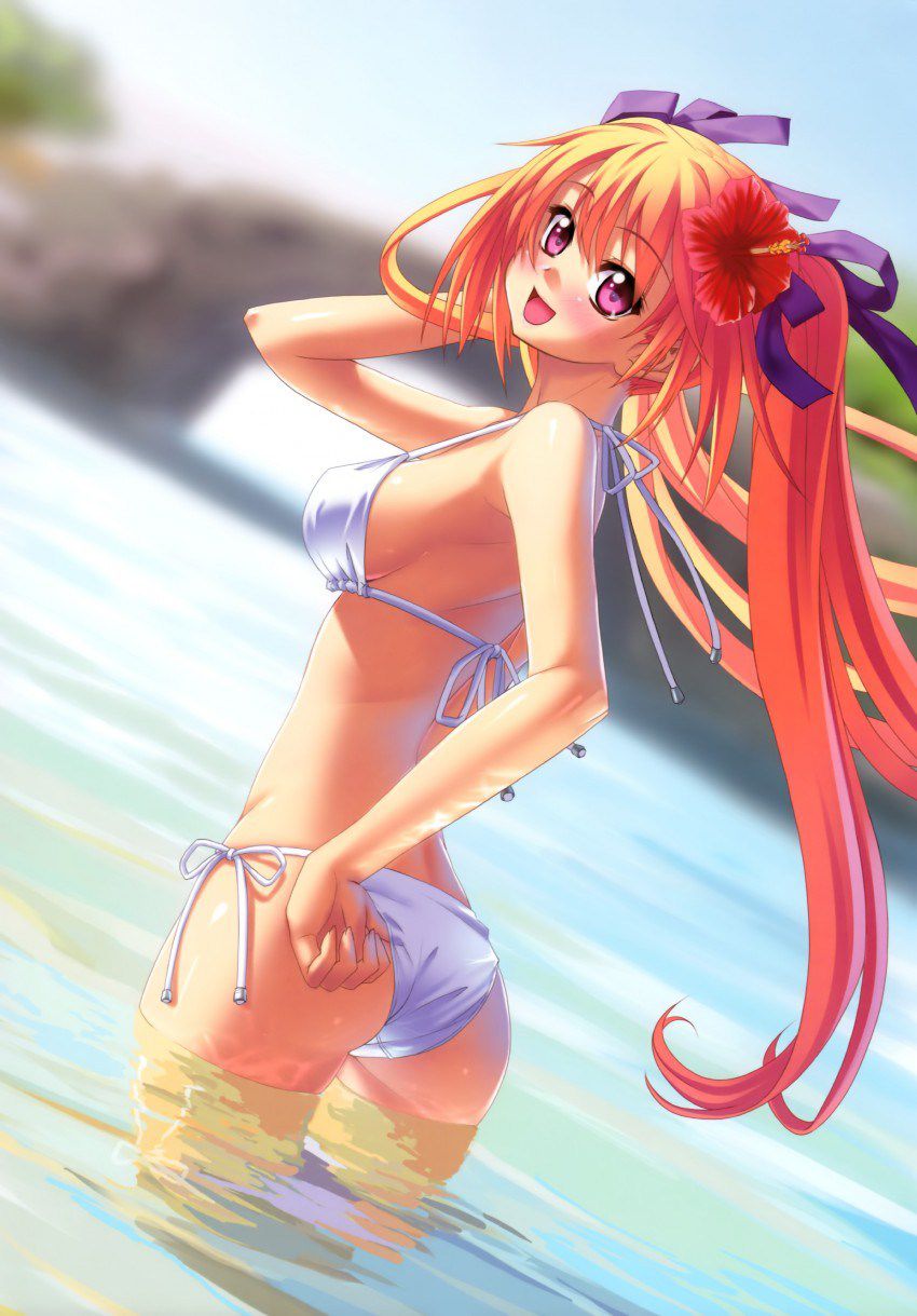 Will continue summer swimsuit pictures 4