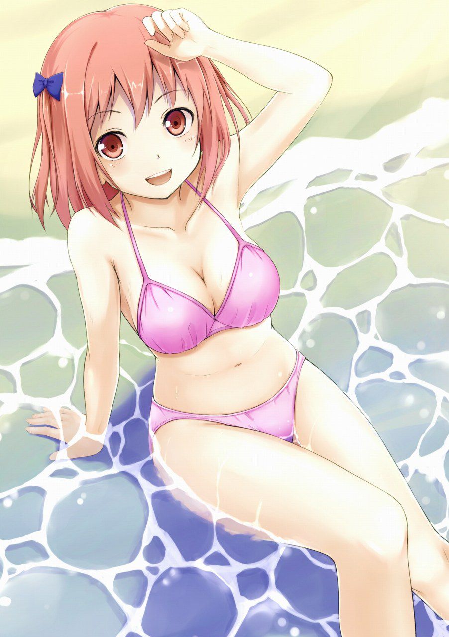 Will continue summer swimsuit pictures 6