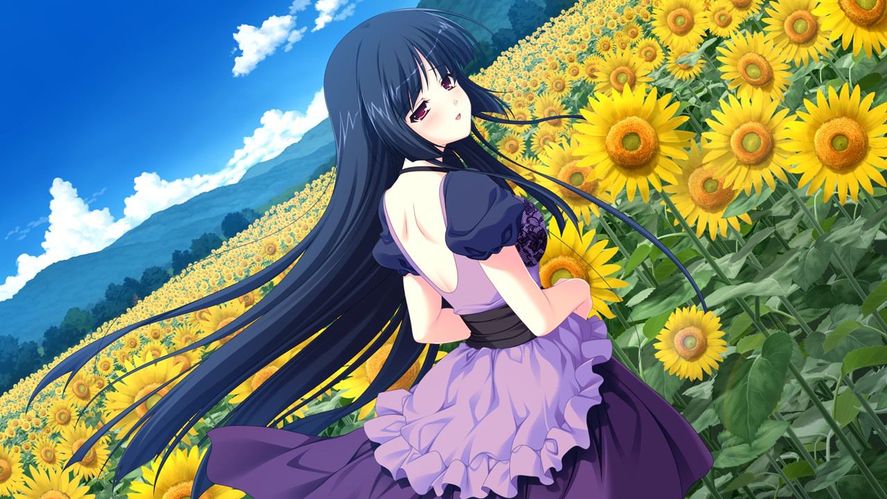 [Secondary, ZIP] summer 2: girl with a sunflower or image summary 11