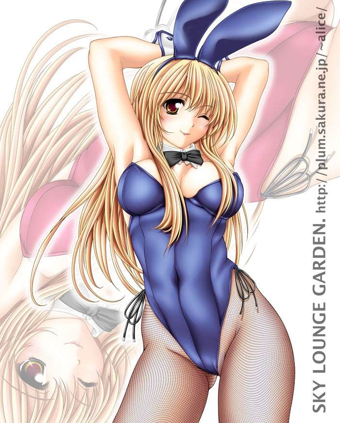 Two-dimensional erotic pictures of the Bunny girl. 1