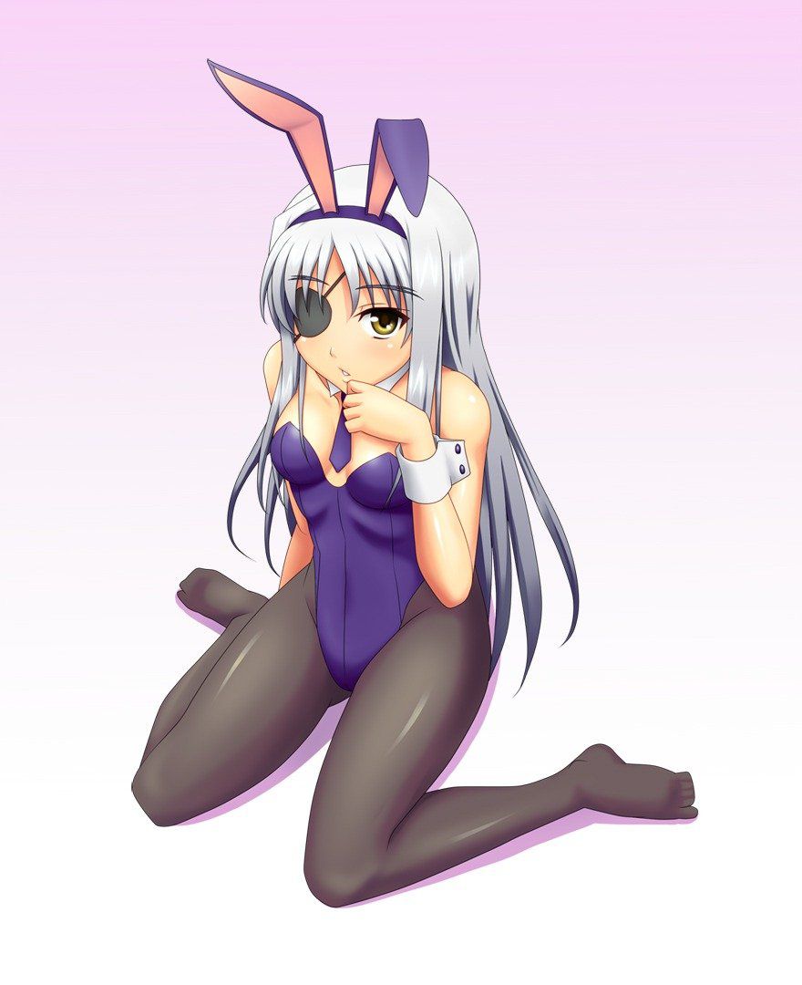 Two-dimensional erotic pictures of the Bunny girl. 11