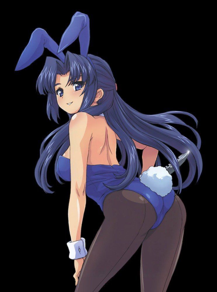 Two-dimensional erotic pictures of the Bunny girl. 6