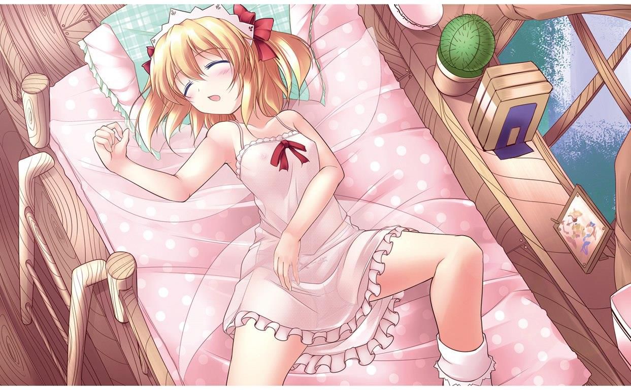 Secondary erotic images of touhou Project 15