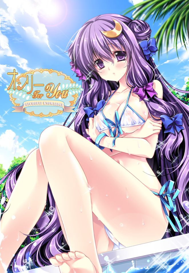 [Secondary, ZIP] cute swimsuit images of girls in the touhou Project 17
