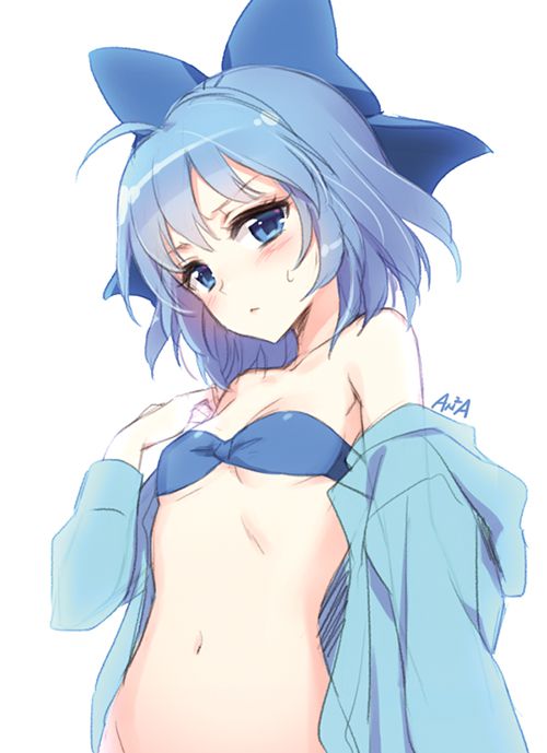 [Secondary, ZIP] cute swimsuit images of girls in the touhou Project 25