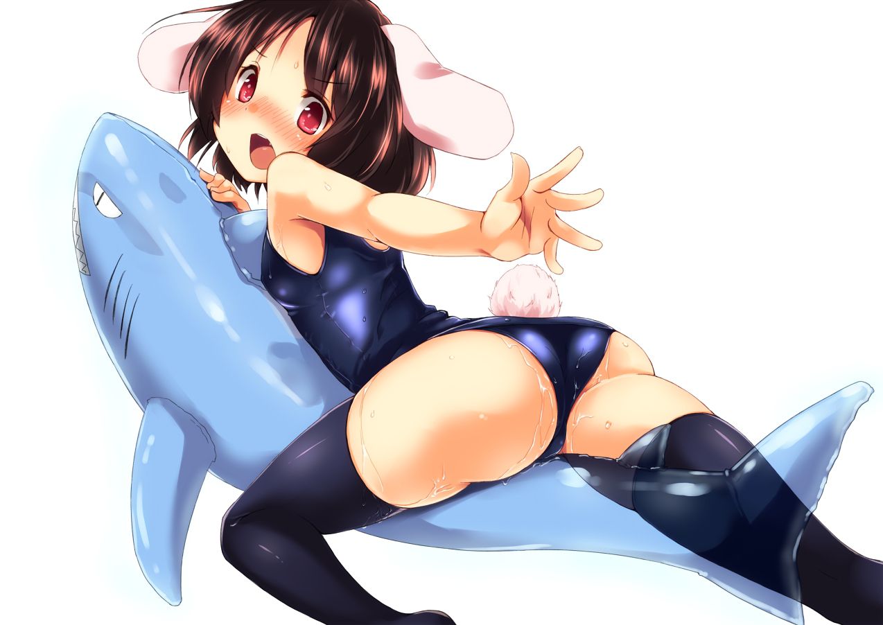 [Secondary, ZIP] cute swimsuit images of girls in the touhou Project 35