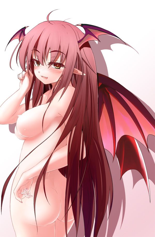 [Touhou Project: little devil erotic image Part3 33