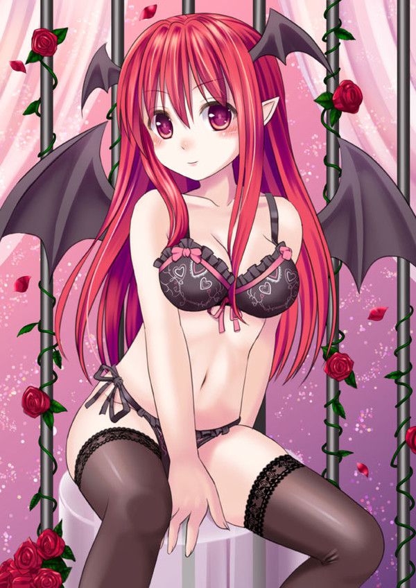 [Touhou Project: little devil erotic image Part3 46