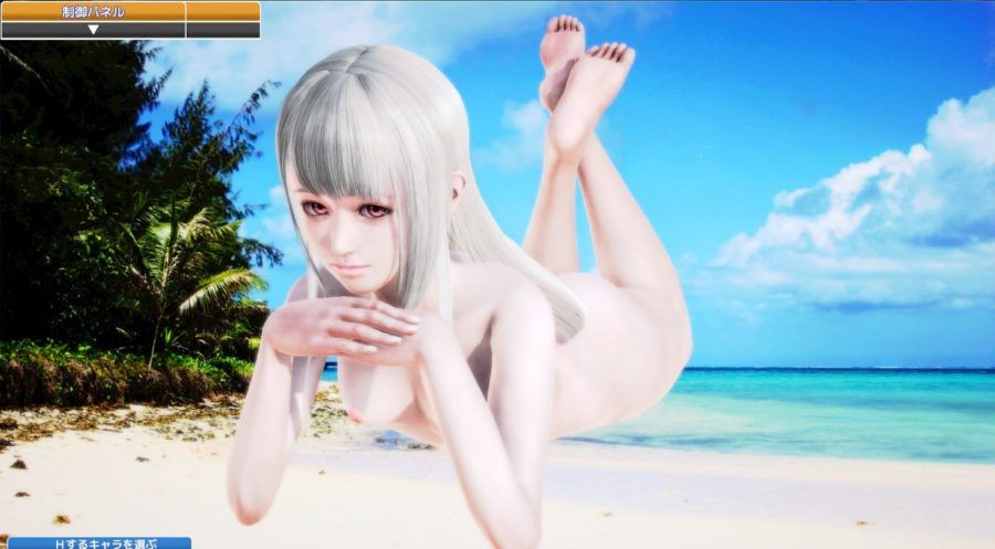 [CG / HCG] [Illusion (illusion), honey select erotic pictures, erotic videos 29