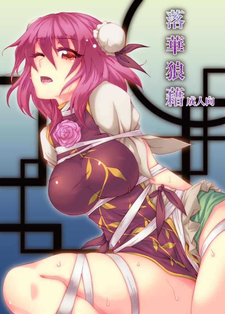 Touhou Project second erotic images Please oh. 20