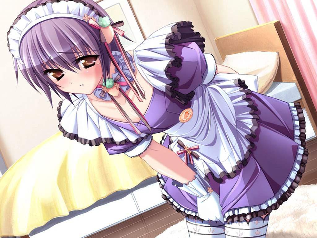 Maid appeal examined in erotic pictures 15