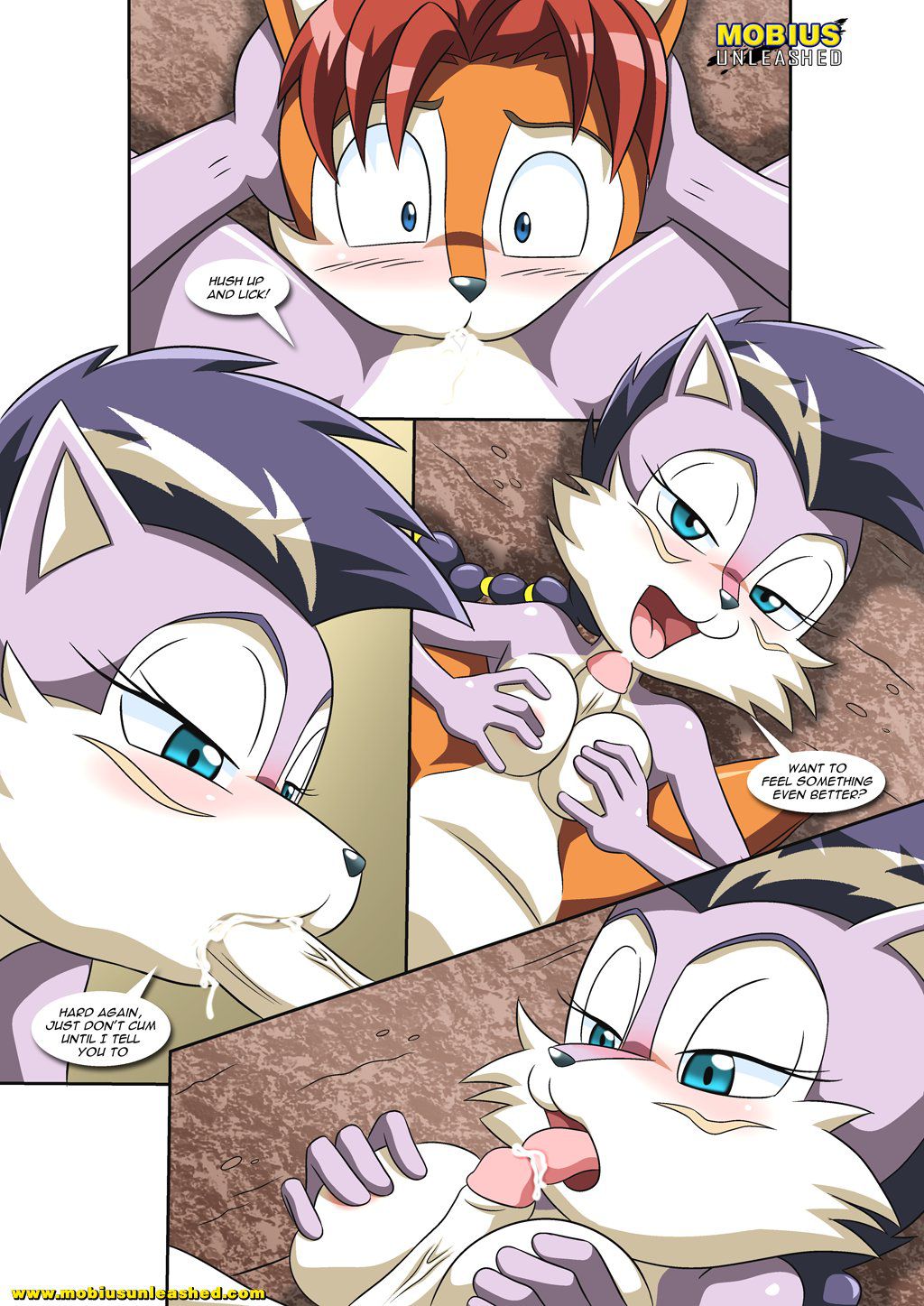 [Palcomix] A Wolf Pack Affair (Sonic the Hedgehog) [Ongoing] 11
