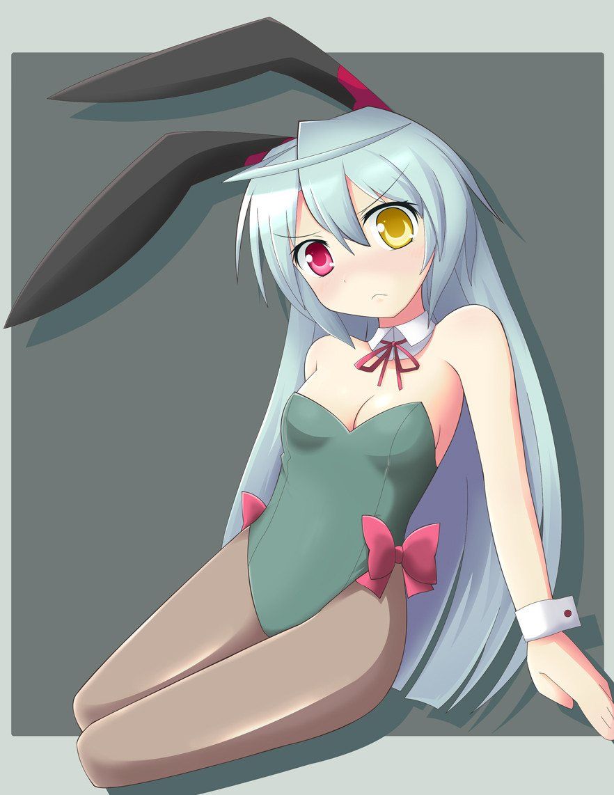 Want a Bunny girl erotic pictures! 2