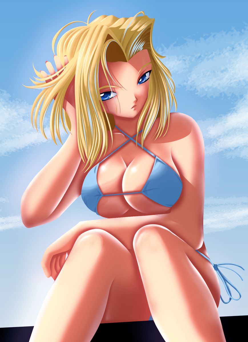 [Dragon Ball] naughty pictures of 18, I want to see? 13
