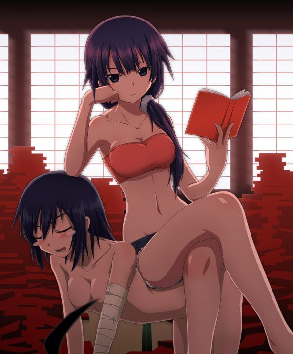 It is an erotic image of the bakemonogatari series! 5