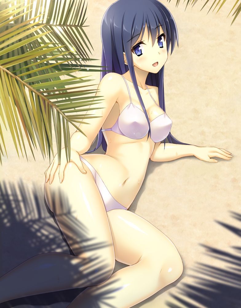 Swimsuit hentai picture General / 3