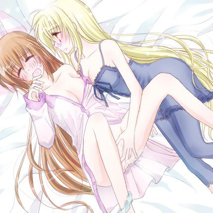 [57 pictures] magical Girl Lyrical Nanoha fate Testarossa & high town of erotic pictures! Part 2 16