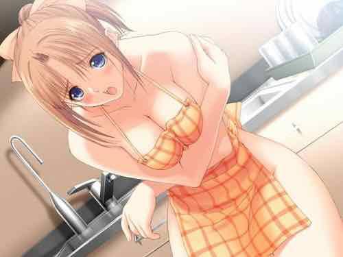 HADAKA apron dress, I was standing from the morning absolutely hameru involved secondary erotic pictures 48