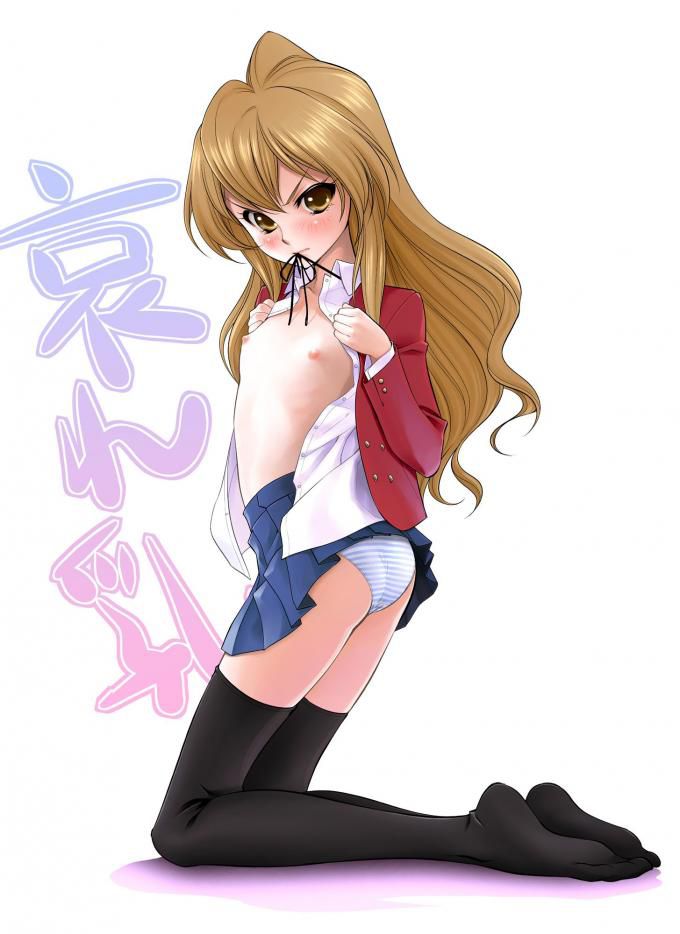Toradora! I want to enjoy such a figure and such a figure carefully and seriously 7