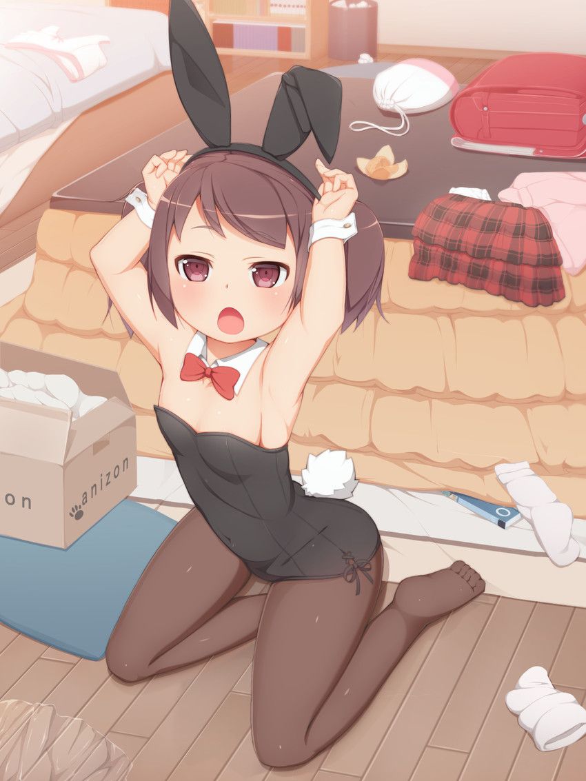 Erotic pictures of the Bunny girl! 13