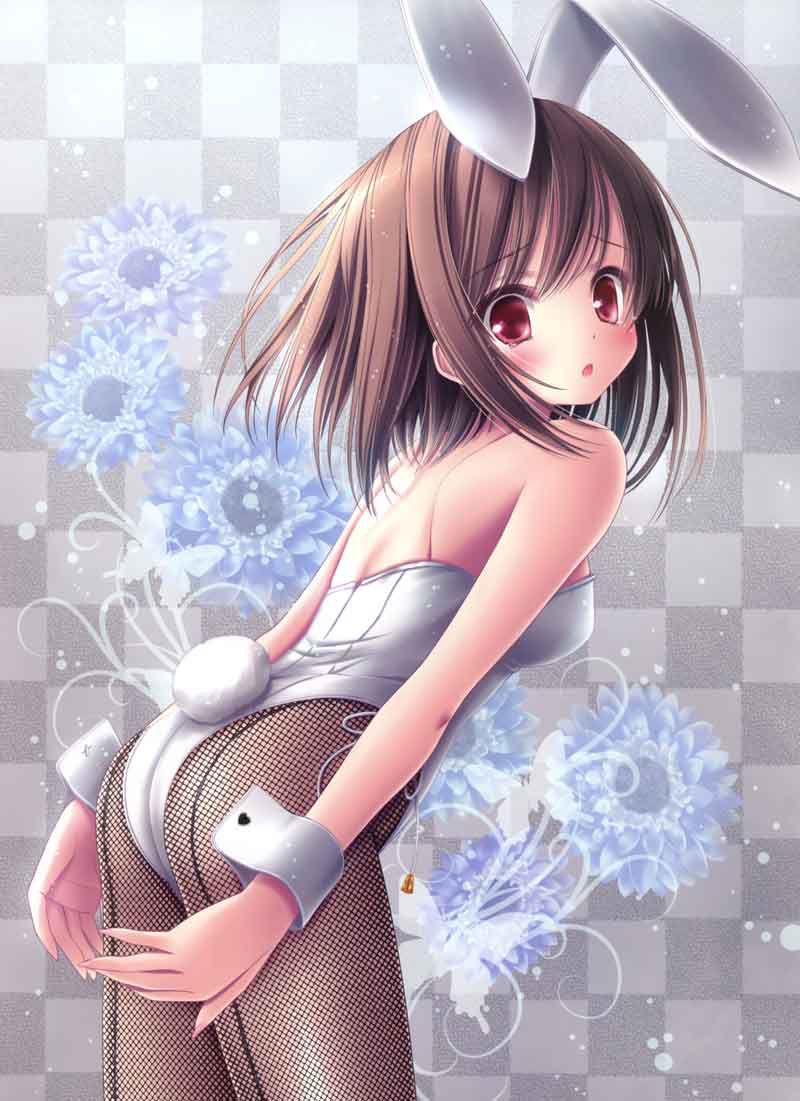Bunny girl image 21