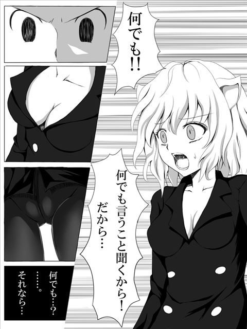 Hunter Hunter hentai pictures 4 (neferpitor, Pitou) 17