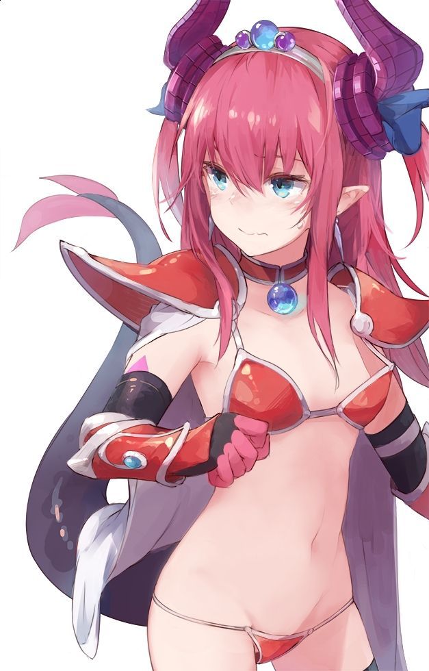 [2次] Elisabeth Bartley's Fate/GO red lancerero cute 17