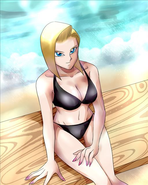 Dragon Ball hentai pictures 15 (Android # 18) 9